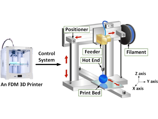 3D Printer Structure and Its Applications in the Medical Field 3 Describe the structure of a 3D printer